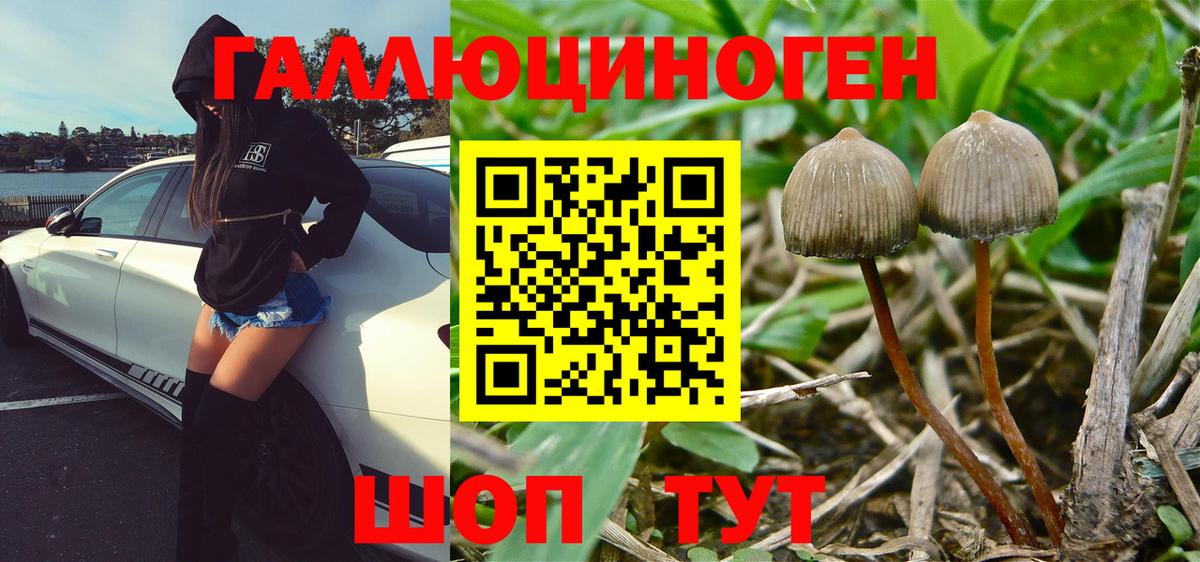 Можайск  цены   Псилоцибиновые грибы Cubensis  Вход с VPN  Псилоцибиновые грибы MAGIC MUSHROOMS 